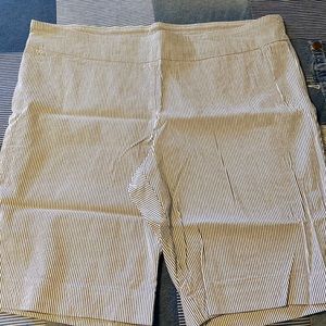 Zac and Rachel 20W shorts